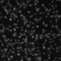 Sample image from the dataset BBBC026v1, with original labels.